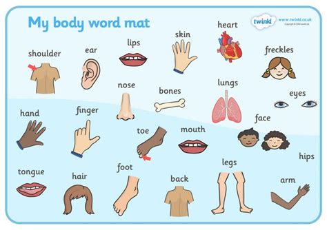My Body Word Mat Sonja Teacher Body Chart Big Words Words