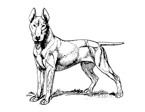 Wystąpił problem podczas pobierania tłumaczenia. Free Printable Dog Coloring Pages | Learning Printable