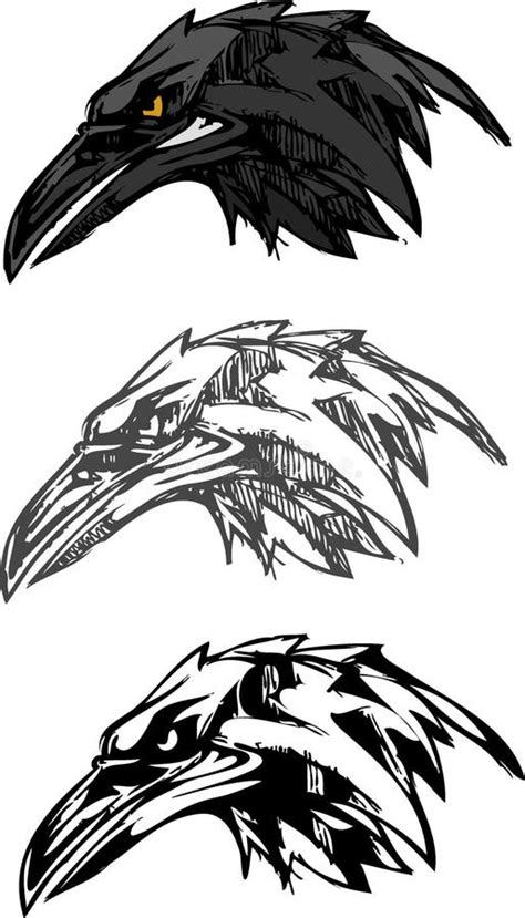 Cartoon Style Crow Head Set Stock Vector Illustration Of Isolated