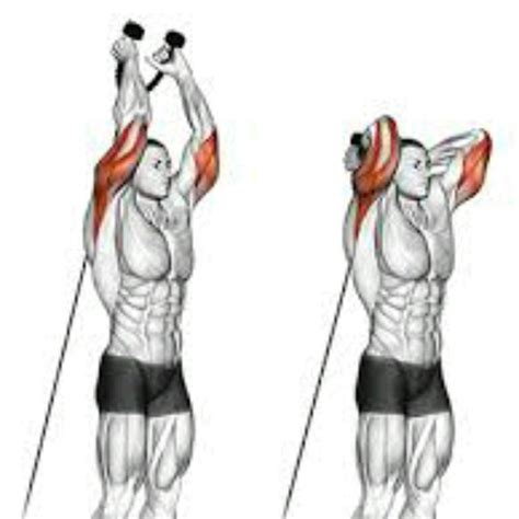 Rope Tricep Overhead Extension Exercise How To Workout Trainer By