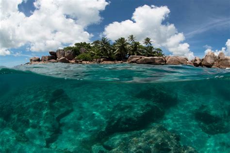 Seychelles Islands Off Africa Are Battling To Keep Coral Reefs Alive