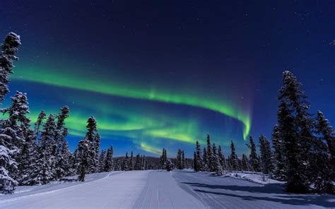 See The Northern Lights Aboard Alaska Railroads Aurora Winter Train