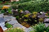 Backyard Landscaping Newcastle Pictures