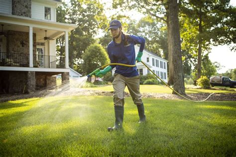 The Best Time To Kill Weeds In Your Lawn In Haymarket Gainesville Or Warrenton Va
