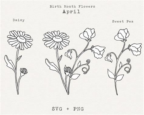 Daisy SVG Sweet Pea SVG April Birth Month Flower SVG April Etsy In