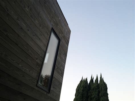 They tell us we will regret it if we don't stain. dark-stained cedar siding at linear window - Midcentury ...