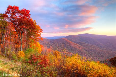 5 Of The Best Shenandoah Hiking Trails To Explore This Fall The Inn