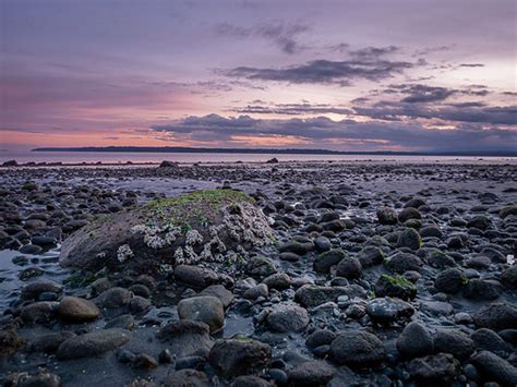 Low Tide Sunset Olympus Digital Camera Greg Thomas Flickr