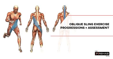 Oblique Sling Exercise Progressions And Assessment 𝗣 𝗥𝗲𝗵𝗮𝗯