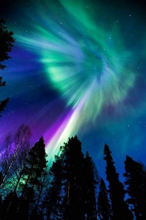 15 Best Images About Northern Lights On Pinterest Kale