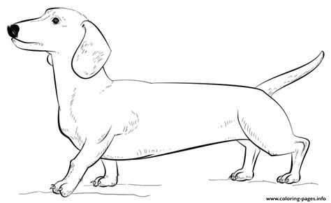 Dachshund Coloring Pages Printable