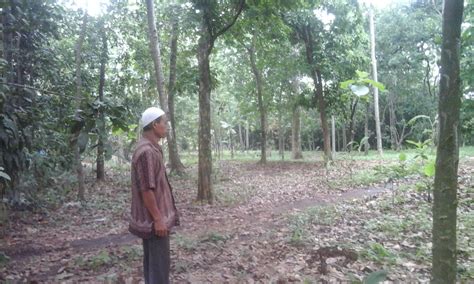 Dijual cepat murah tanah di pinggir jalan raya ciamis 650m2. DCAN JUAL TANAH CILEUNGSI-JONGGOL-CARIU