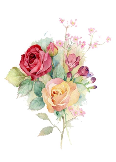 ftestickers watercolor flowers roses sticker by @pann70 png image