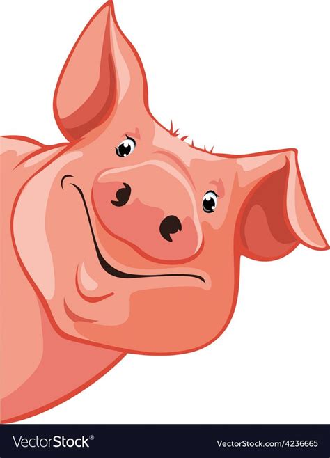 Pig Peeking Out From The Left Download A Free Preview Or High