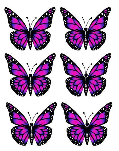 Pink Butterfly Clipart Preview All Things Butterfly Butterfly Clip
