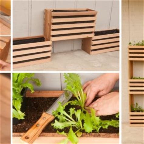 We did not find results for: Wonder DIY Spiral Herb Garden