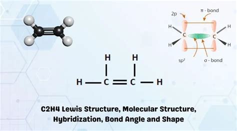 C2H4 Lewis Structure Molecular Structure Hybridization Bond Angle