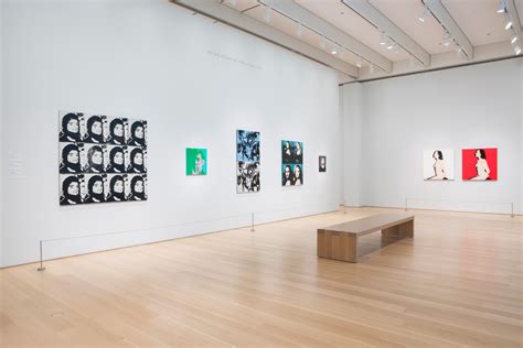‘the New Contemporary’ At Art Institute Of Chicago
