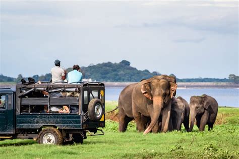 Crisis Ridden Sri Lanka Tourism Aims To Regain Momentum