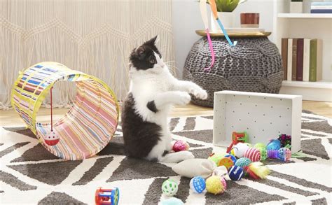 Kitten Toys The Best Kitten Toys For Active Kittens