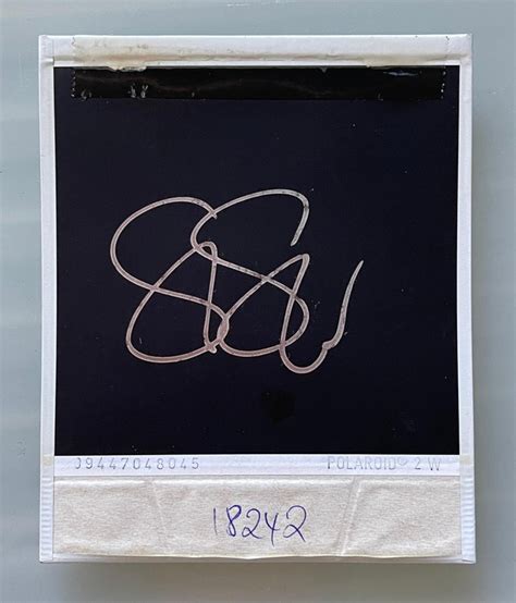 Stefanie Schneider Day Worker American Depression Original Polaroid Unique Piece For Sale