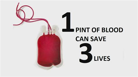 One Pint Of Blood Can Save Three Lives How Does That Work
