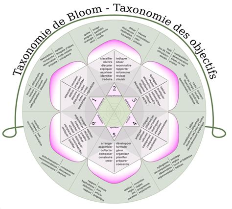 De La Taxonomie à Lontologie De Bloom 1 Ilot Sémantique Et éducation