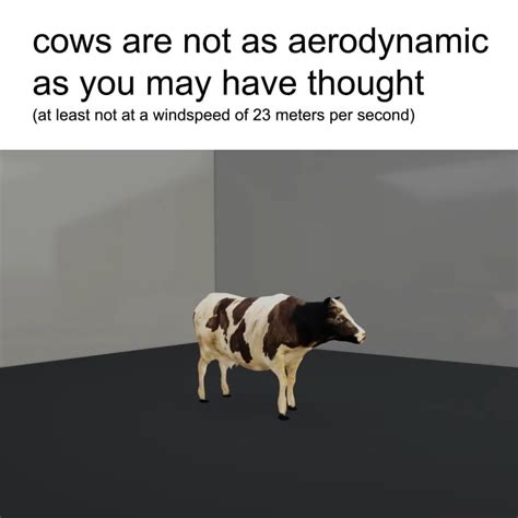 Cow Aerodynamics Rphysicsmemes