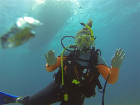 Oimb The Oregon Institute Of Marine Biology