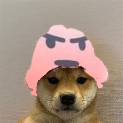Pin By E Girl Ethan On Dog Wif Hat In 2020 Dogs Hats Doge