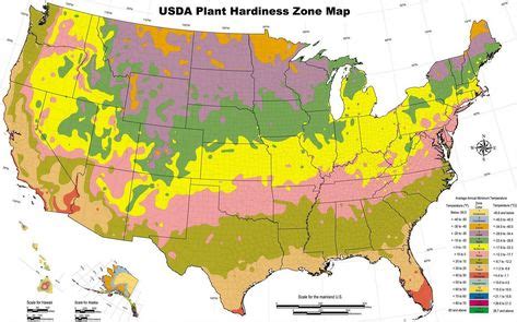 Zone Gardening Zone Plants And Gardening Advice For Quality Fall