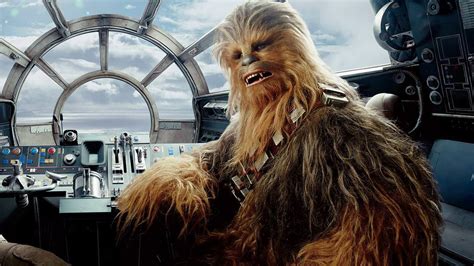 He lives in brighton, england. How Old Is Chewbacca? Wookiee Lifespans and Other Lore ...