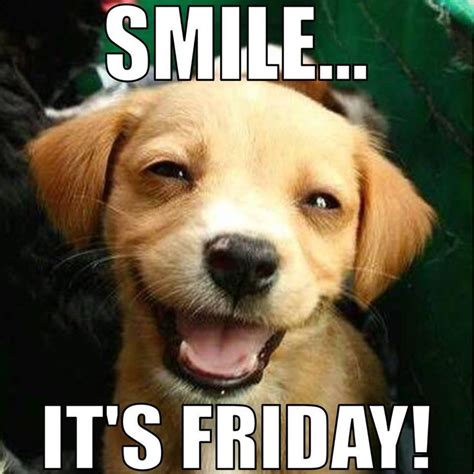 Smile Its Friday Happy Dogs Funny Animal Memes Smiling Dogs