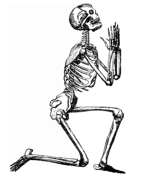 Skeleton Art Skeleton Svg Praying Hands Funny Art Print Humorous Art