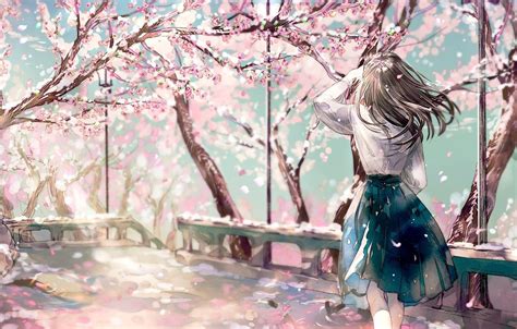 Anime Cherry Blossom Girl Wallpapers Top Free Anime Cherry Blossom