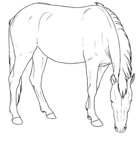 This article includes horse coloring sheets in cartoon and realistic forms. Kids-n-fun.co.uk | 30 Coloring pages of Horse breeds