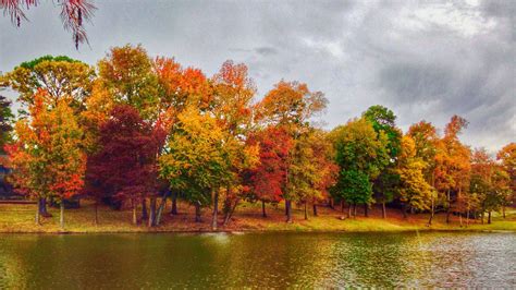 Country Roads In Texas With Beautiful Fall Foliage Fm 2868 Tyler