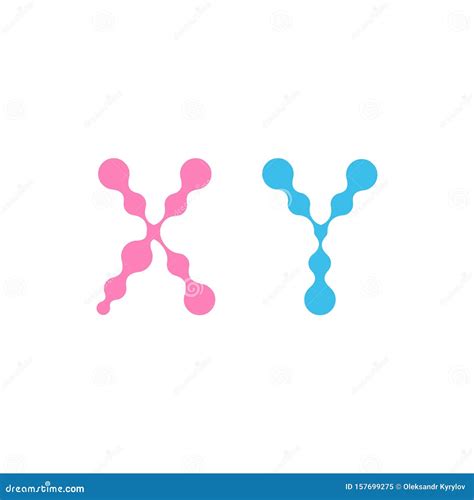 Sex Chromosome Xy Chromosomes In Molecular Fluid Design Symbol Isolated On White Background