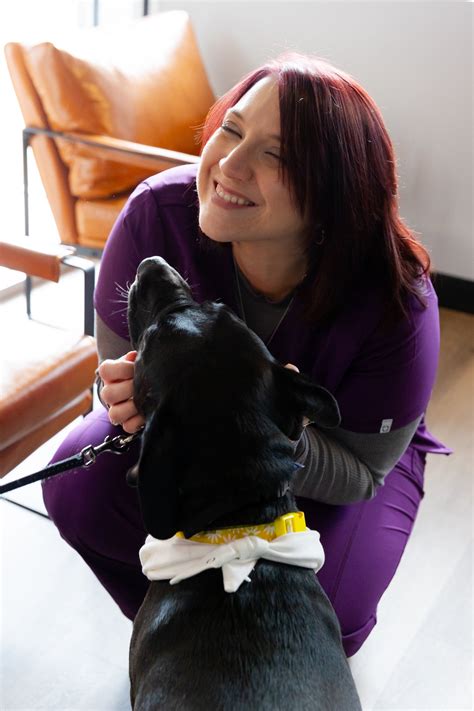 Summit Veterinary Care