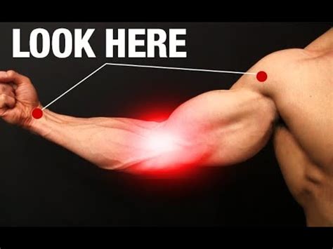 How to Fix Elbow Pain (ONE SIMPLE EXERCISE!) - YouTube