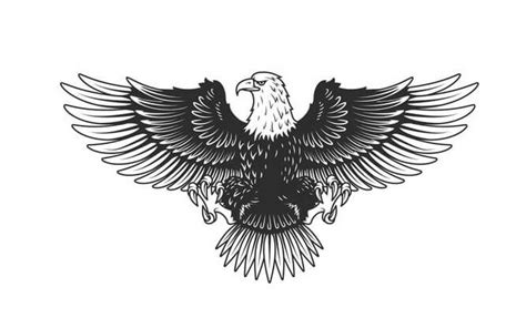 Mewarnai gambar garuda pancasila mewarnai adalah salah satu kegiatan yang cukup bermanfaat bagi anak anak. Download Gambar Sketsa Burung Garuda Pancasila Siap Diwarnai