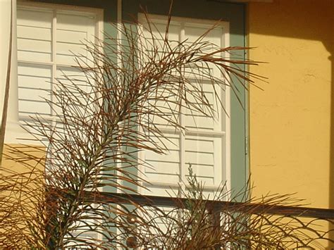 Get your custom poly shutter and awnings to add style and guard to your items. Alu Core Poly Shutters® the quality Poly Plantation ...