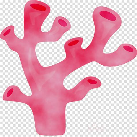 Coral Cartoon Png Png Image Collection