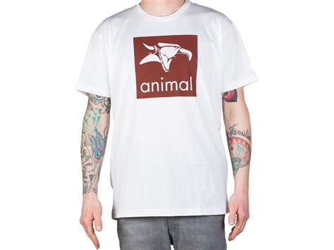 Animal Bikes Logo T Shirt White Kunstform Bmx Shop And Mailorder