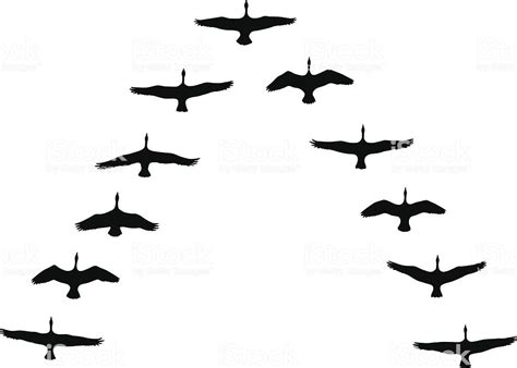 Vector Illustration Of Canada Geese Silhouettes In Vee Formation
