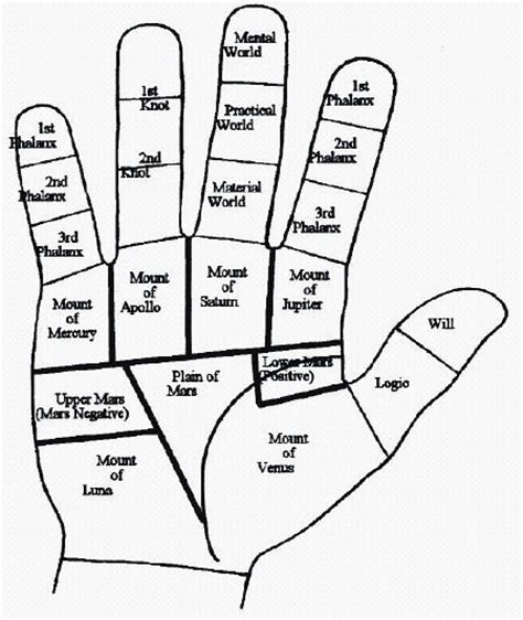 Beginners Palmistry How To The Laymans Guide To Cheirology Reading