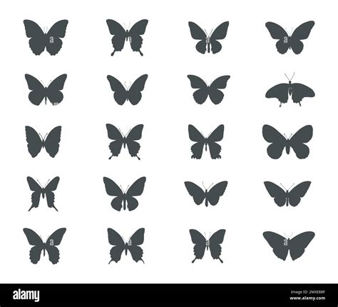 Butterfly Silhouettes Butterflies Silhouette Set Stock Vector Image