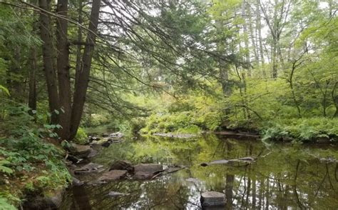 Conservation Easement Protects New Boston Town Forests Piscataquog