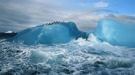 Full Hd Wallpaper Penguin Flock Iceberg Wave Storm Amazing