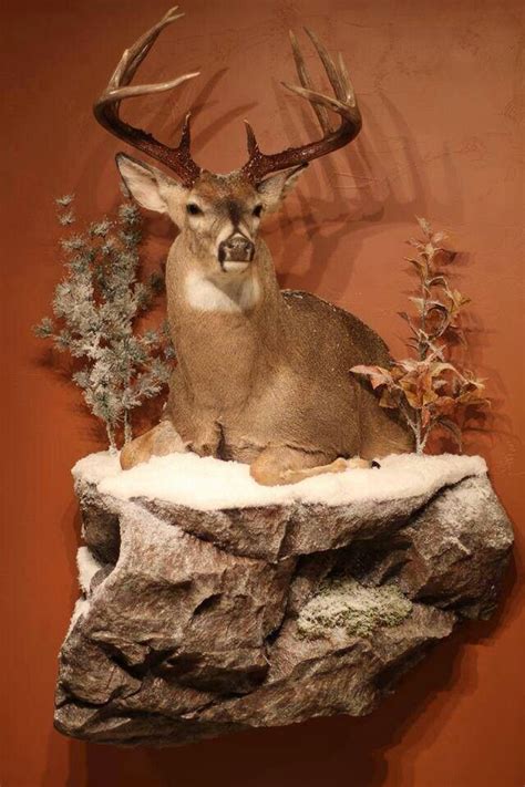 This Is A Cool Mount Deer Hunting Decor Deer Decor Hunting Decor